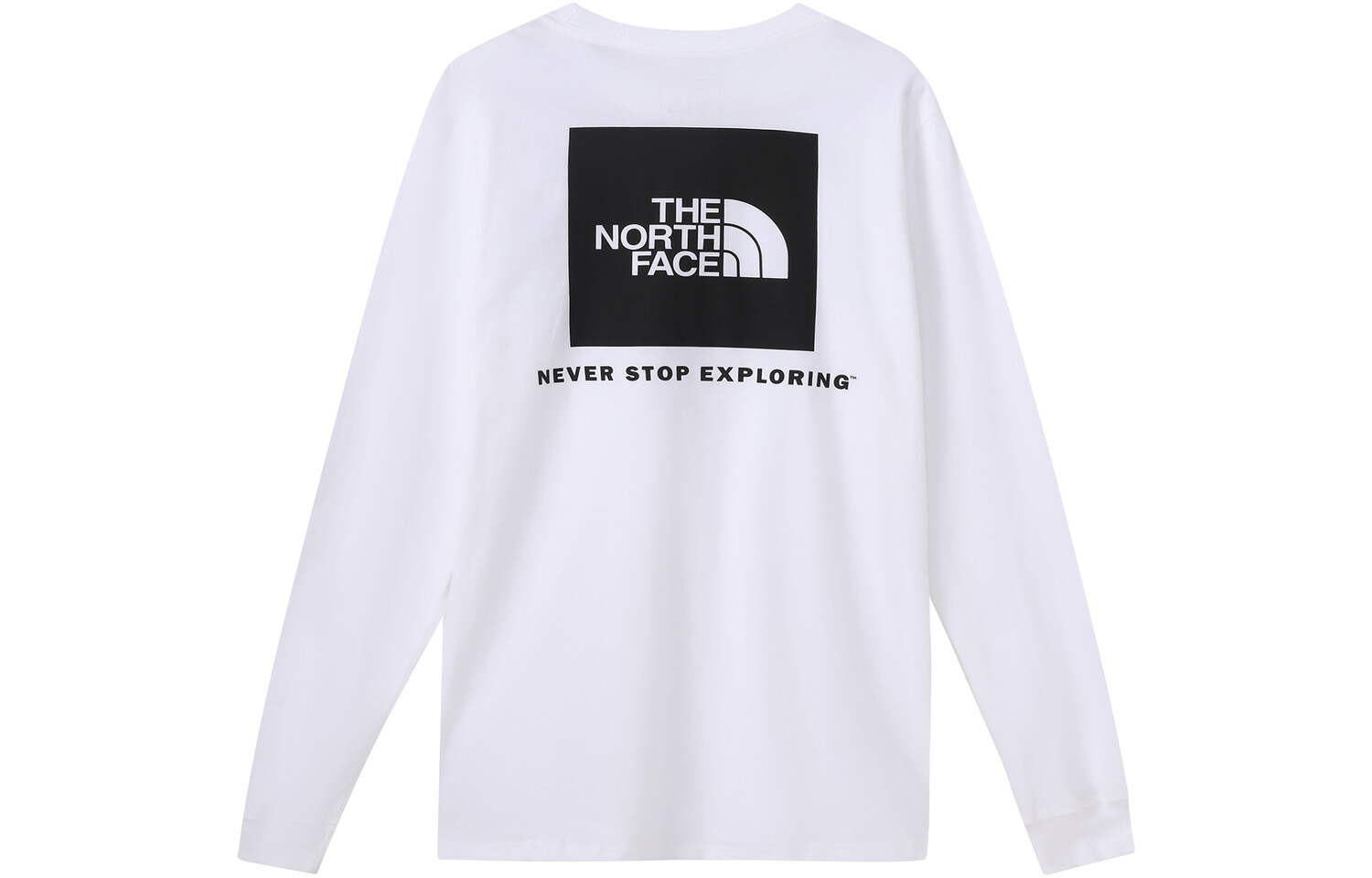 

Футболка мужская белая The North Face, белый