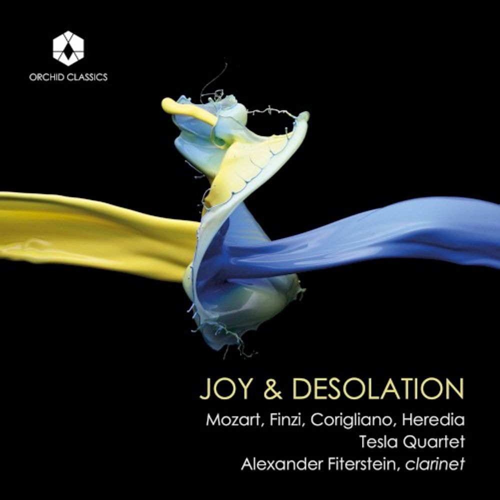 

Диск CD Joy & Desolation