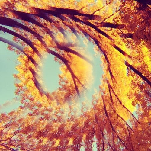 

CD диск Hawk & a Hacksaw: Forest Bathing
