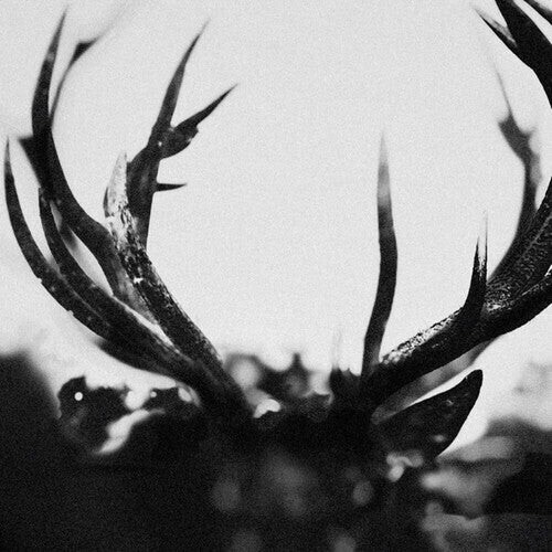 

CD диск Ihsahn: IHSAHN