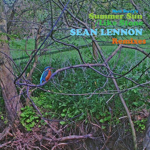 

Виниловая пластинка Berry, Matt: Summer Sun / Like Stone (sean Ono Lennon Remixes)