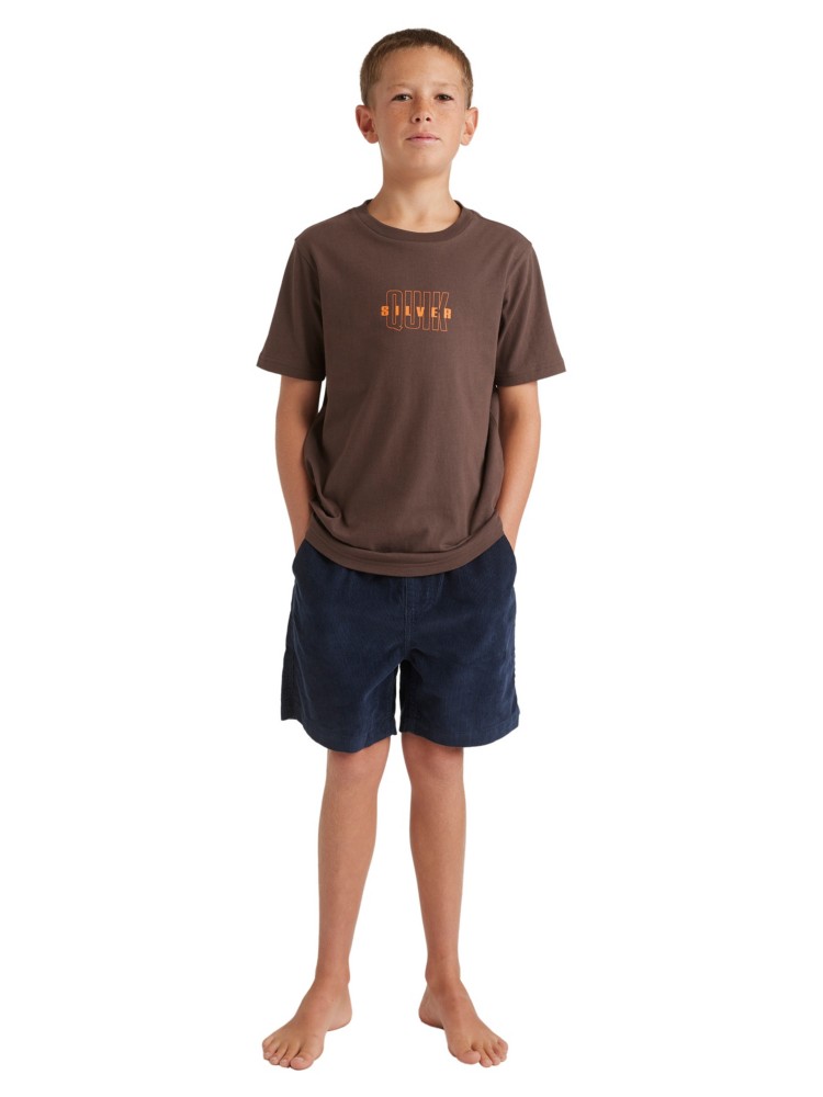 Шорты Quiksilver Taxer Cord Kids Shorts, dark navy — фото 3