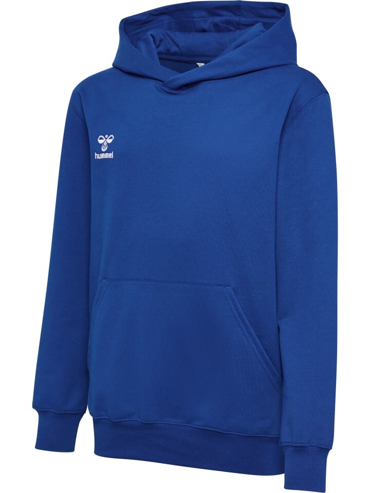 Худи Hummel Verstellbare Taille Hmlgo Multisport Kinder, цвет true blue — фото 3