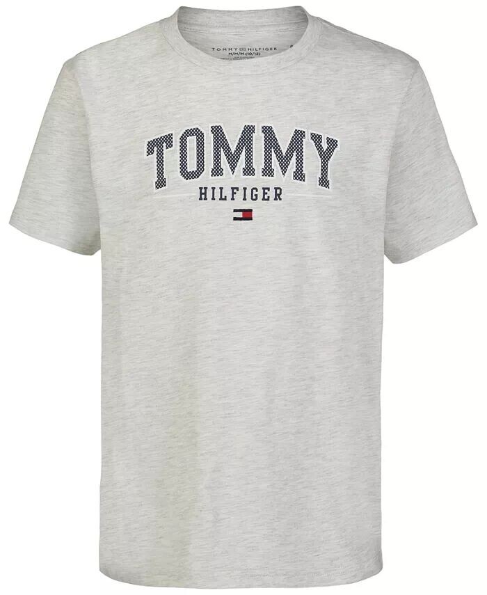 

Футболка с графическим логотипом Little Boys Arch Overwrite Tommy Hilfiger, белый