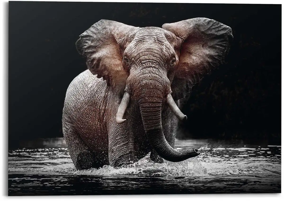 

Рейндерс! Деко-панно "Слон" Reinders! 140х100х2 см, цвет B/H/T: 140 cm x 100 cm x 2 cm
