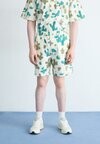 

Шорты OPUS Carhartt Wip, мультиколор