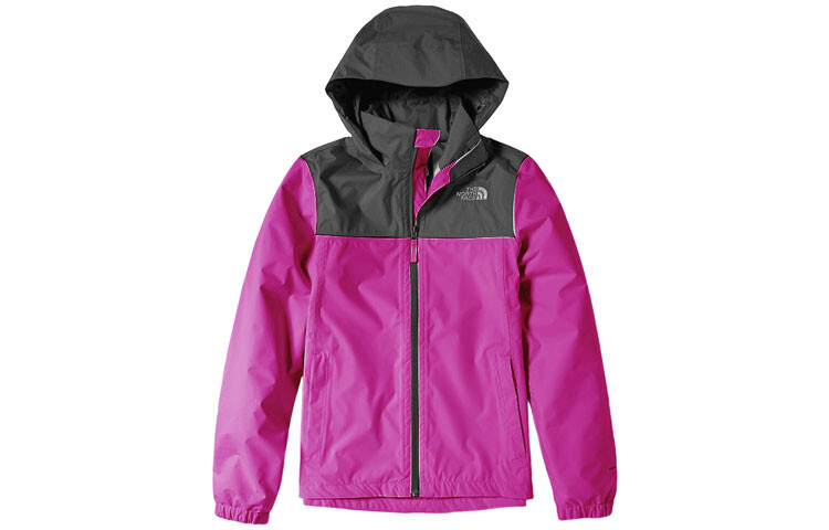 

Коллекция 1990 года Куртка женская фиолетовая The North Face