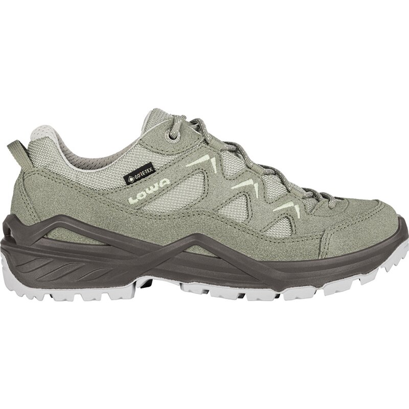 Многофункциональные туфли sirkos evo gtx low ws Lowa, мультиколор