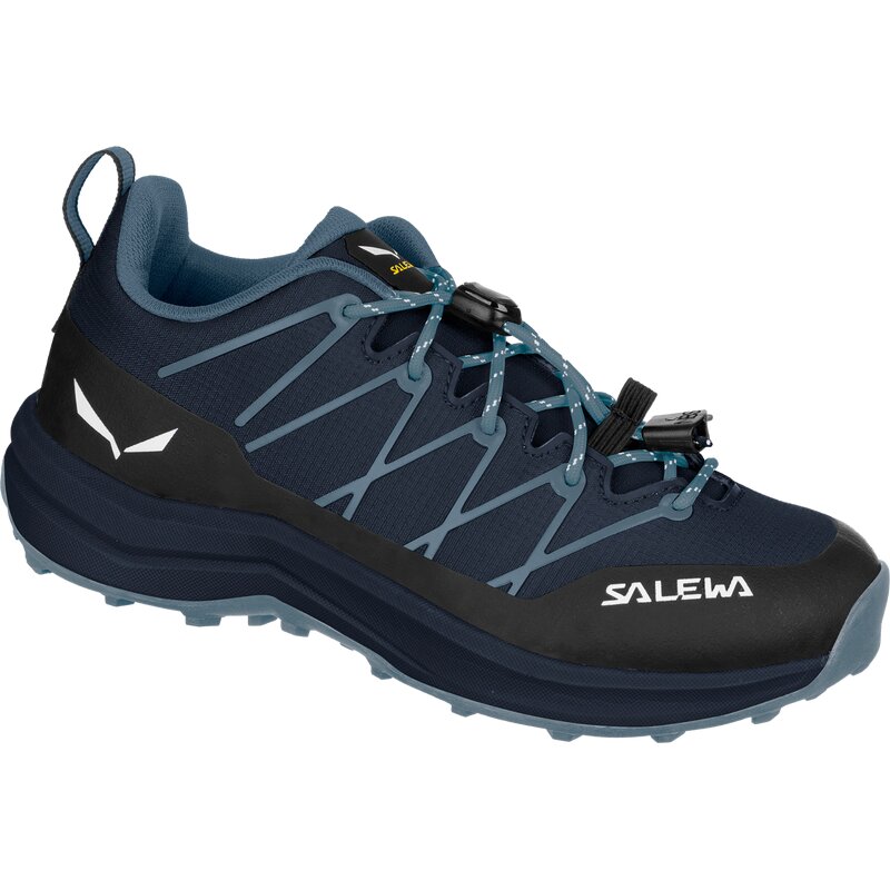 

Треккинговые ботинки Wildfire 2k Salewa, мультиколор
