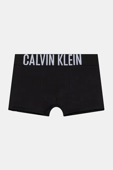 Боксеры детские хлопковые 2 шт Calvin Klein Underwear, синий — фото 3