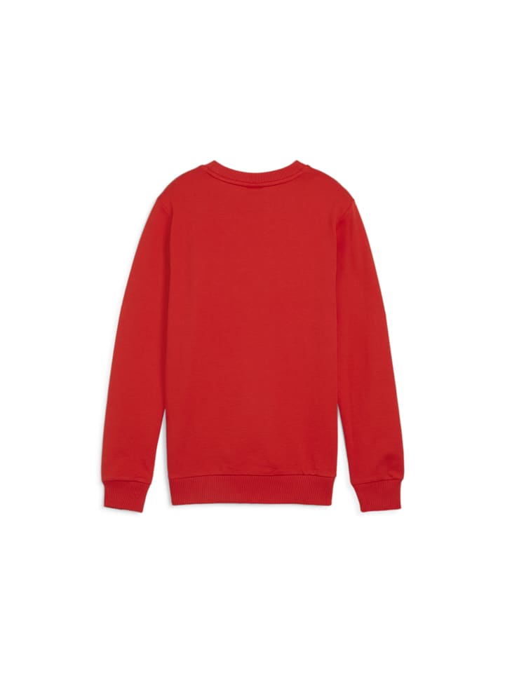 Толстовка teamGOAL Casuals Crew Neck Sweat Jr красного цвета Puma — фото 2