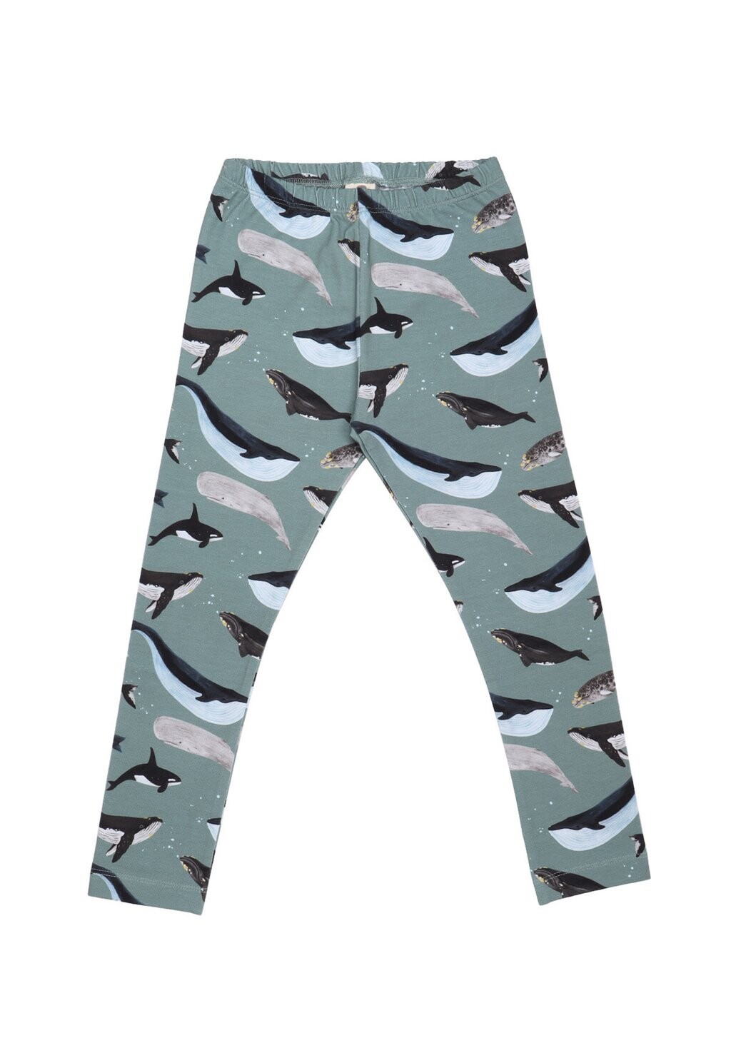 

Леггинсы Leggings Walkiddy, зеленый