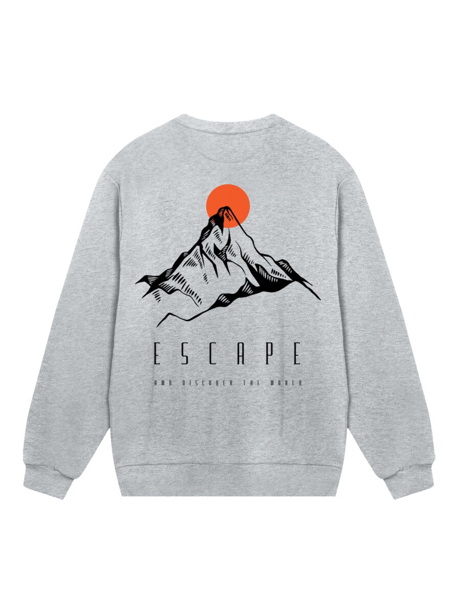 

Толстовка F4NT4STIC Escape Discover the World Mountain, серый