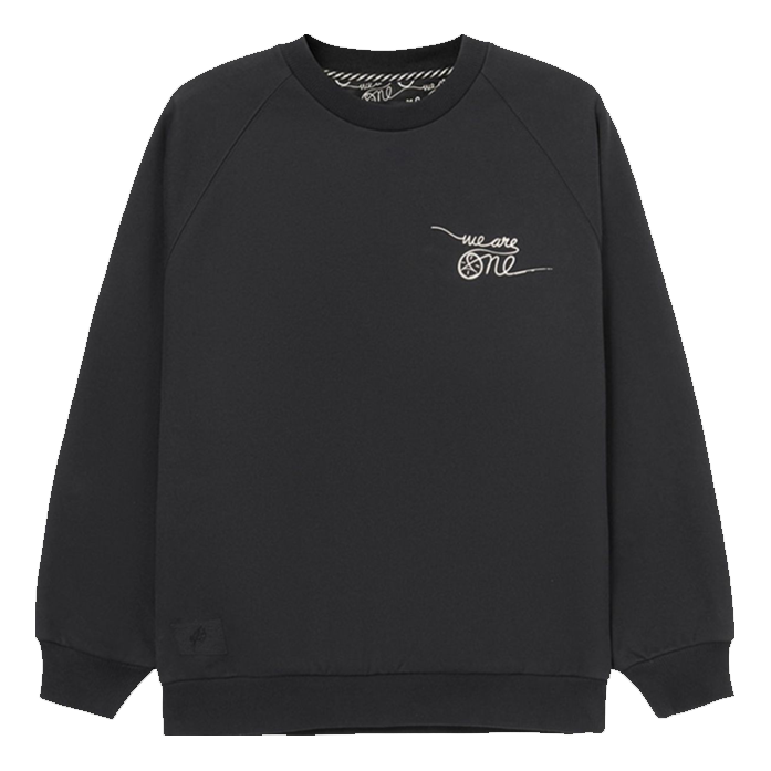 

Спортивная толстовка Li-Ning x DFT Way Of Wade Graphic Sweatshirt 'Black' AWDRE79-1, черный