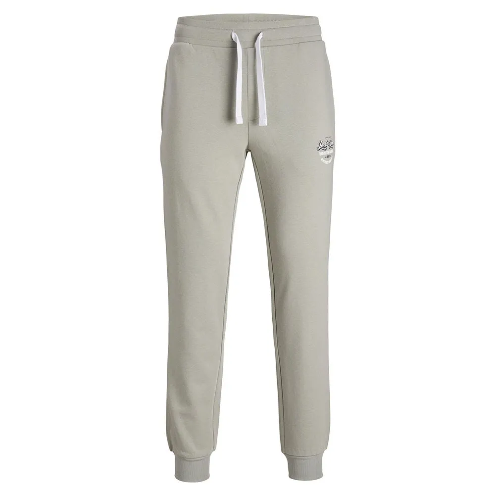 

Спортивные брюки Jack & Jones Gordon, зеленый