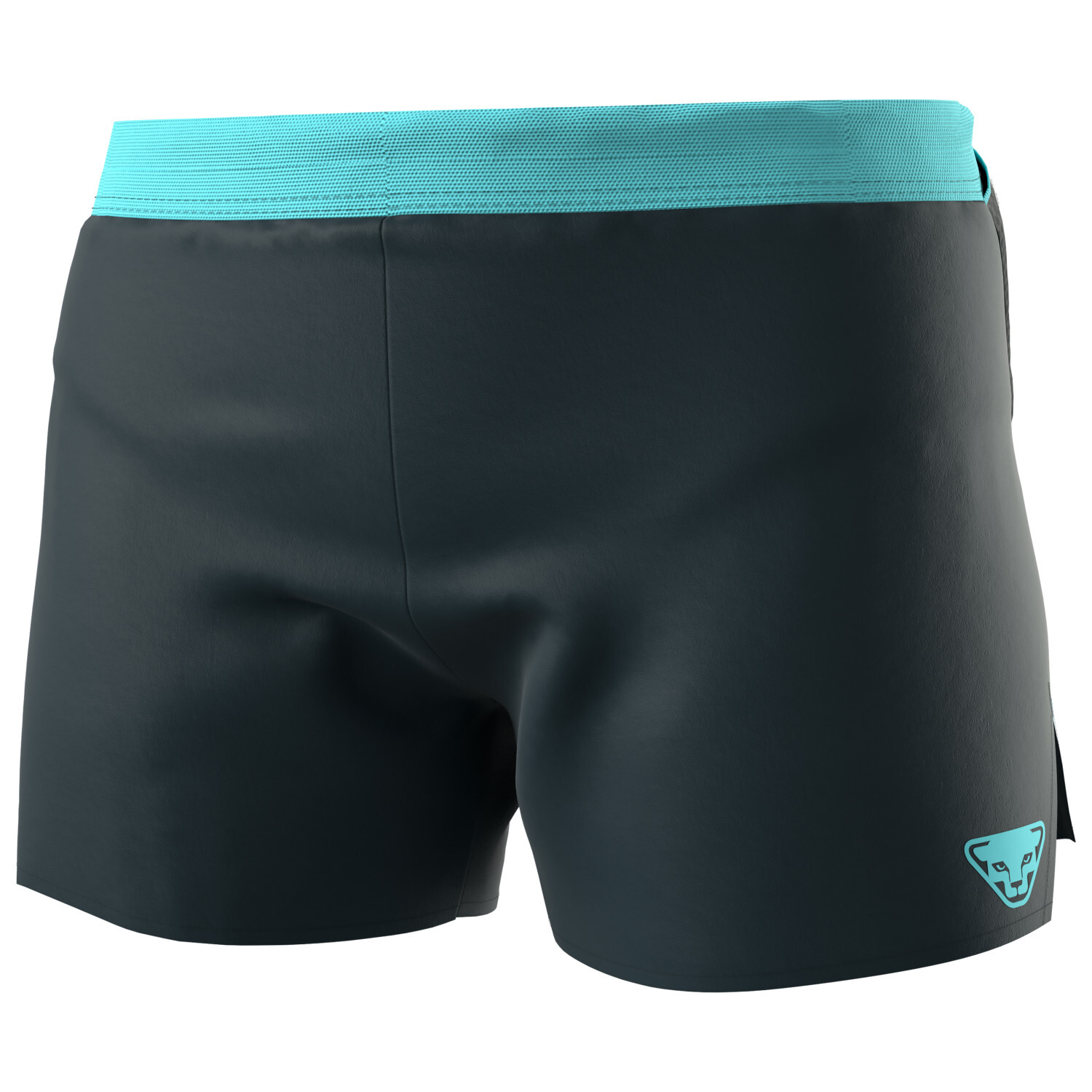 

Шорты для бега Dynafit Women's Sky Shorts, цвет Blueberry/Marine Blue, Серый, Шорты для бега Dynafit Women's Sky Shorts, цвет Blueberry/Marine Blue