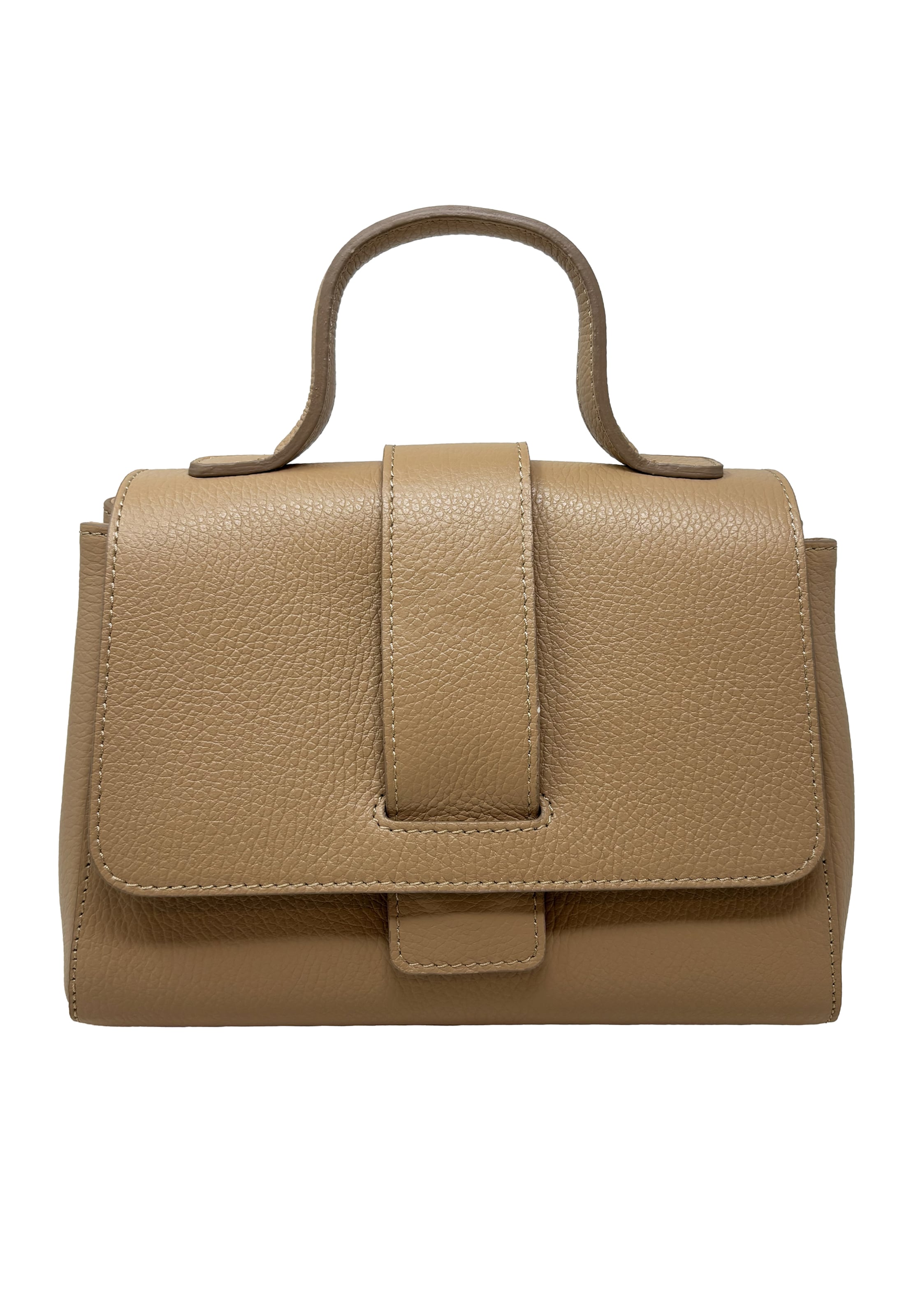 

CHICCA BORSE Сумка в коричневом цвете