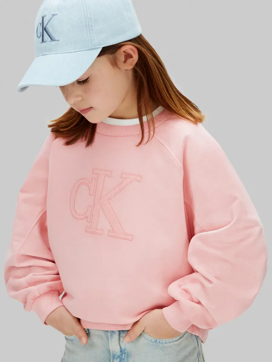 Девочка толстовка с круглым вырезом Calvin Klein, розовый — фото 4
