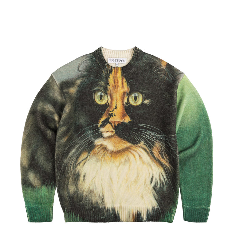 

Джемпер cat print printed jumper Jw Anderson, зеленый