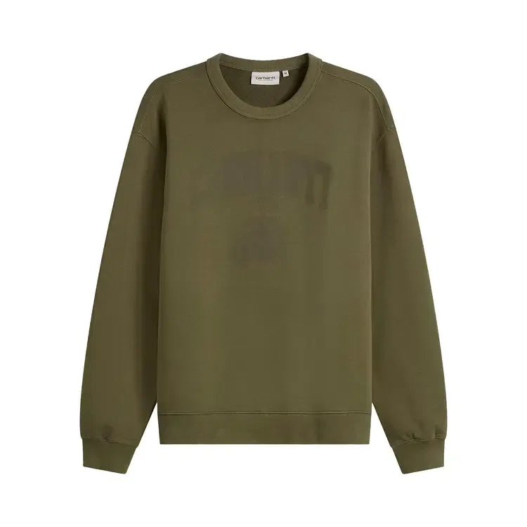 Толстовка Carhartt WIP Faded Pond Corps, зеленый