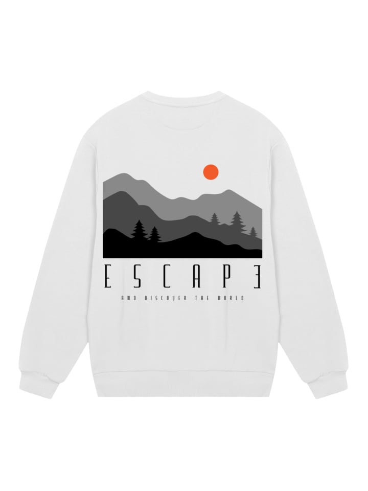 

Толстовка F4NT4STIC, белый