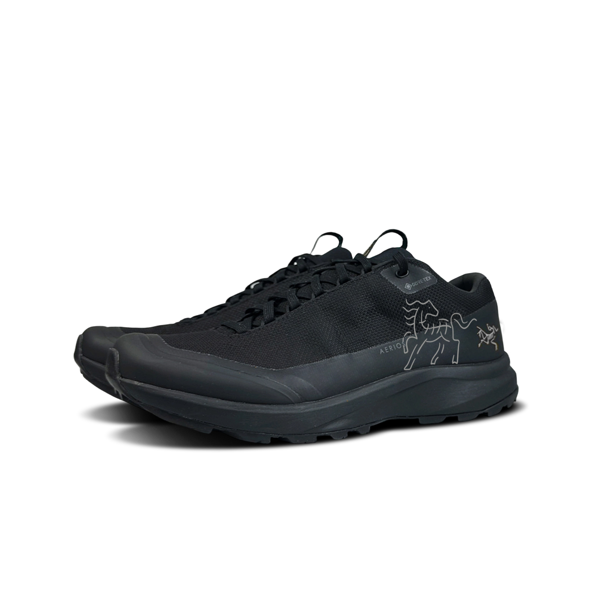 AERIOS FL GTX устойчивые к истиранию низкие кроссовки для бега мужские Arcteryx, черный — фото 4