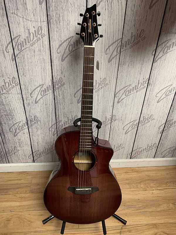 

Акустическая гитара Breedlove Pursuit Exotic - Pinot Burst