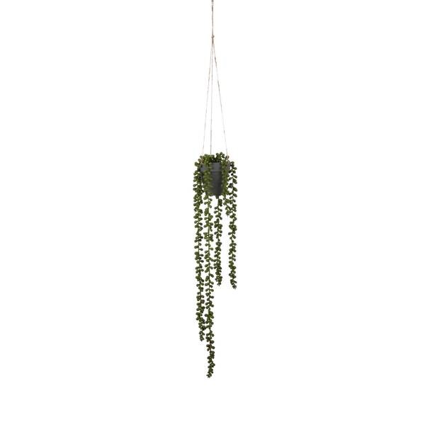 

Декоративное растение Mica Decorations Senecio, зеленый