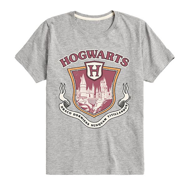 

Футболка с принтом Harry Potter Hogwarts Collegiate для мальчиков 8-20 Licensed Character, Athletic Heather