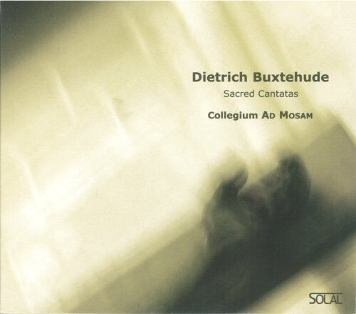 

CD диск Buxtehude / Collegium AD Mosam / Eelen: Sacred Cantatas
