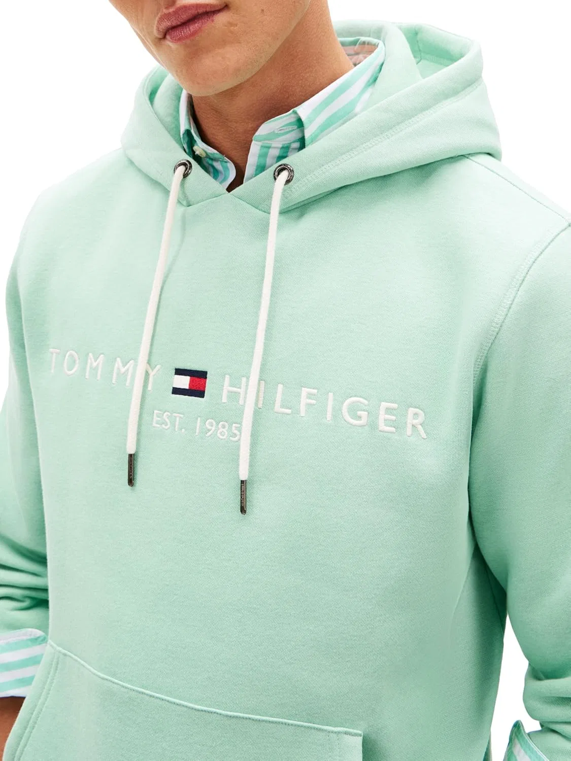 Мужская толстовка с капюшоном, флис, Tommy Hilfiger, Crushed Mint — фото 2
