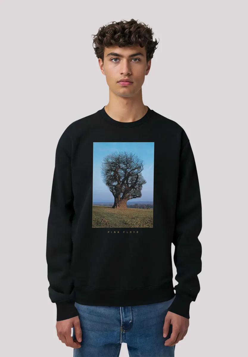 

Толстовка F4NT4STIC "Pink Floyd Tree Head", премиум качество, черный
