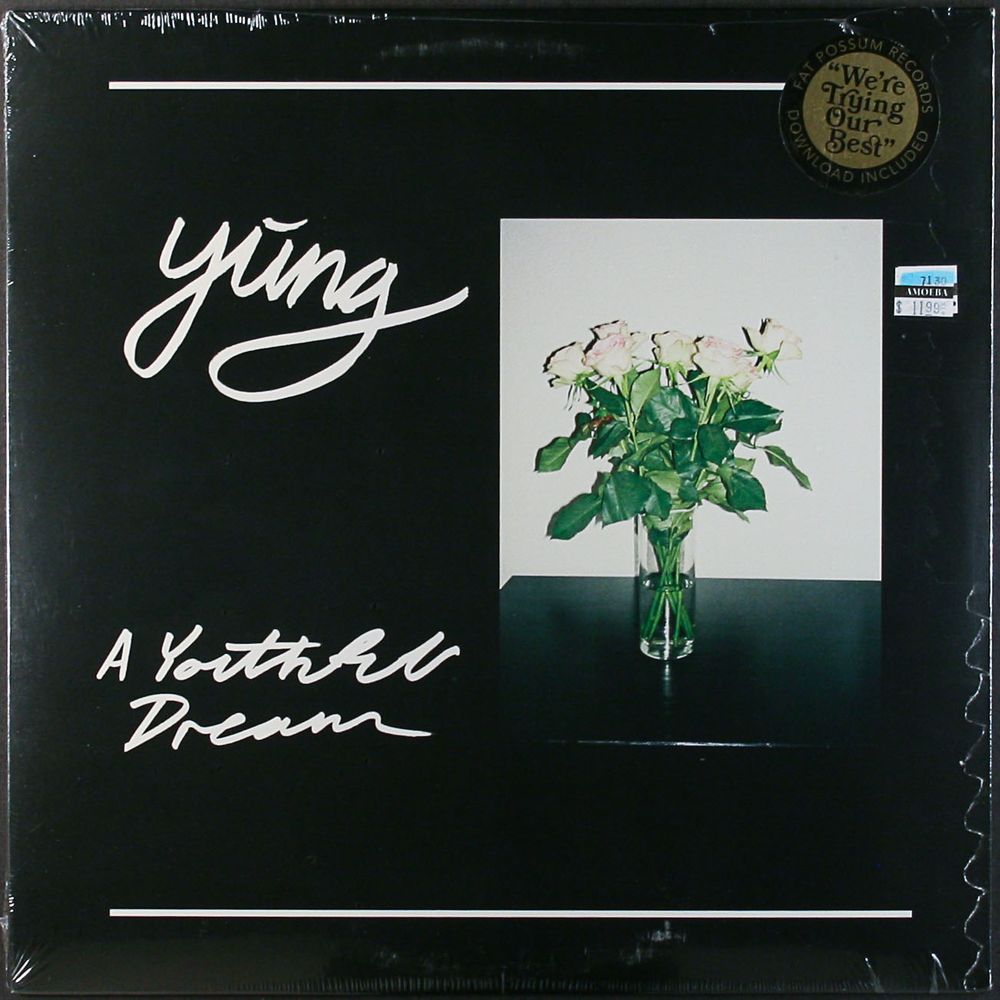 

Виниловая пластинка LP A Youthful Dream - Yung