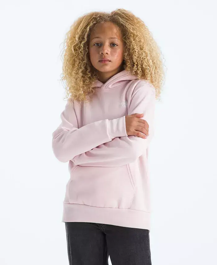 

Большие девочки худи Evolution Box с застежкой Pull On The North Face, розовый