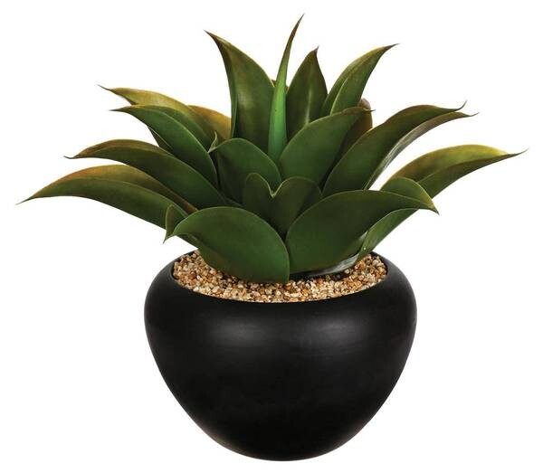 

Декоративное растение Atmosphera Créateur d'intérieur Aloe Vera, зеленый
