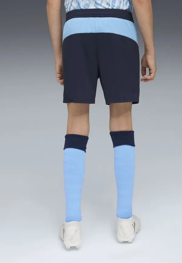 Футболка Manchester City Club Wear Puma, глубокий синий, голубой — фото 2