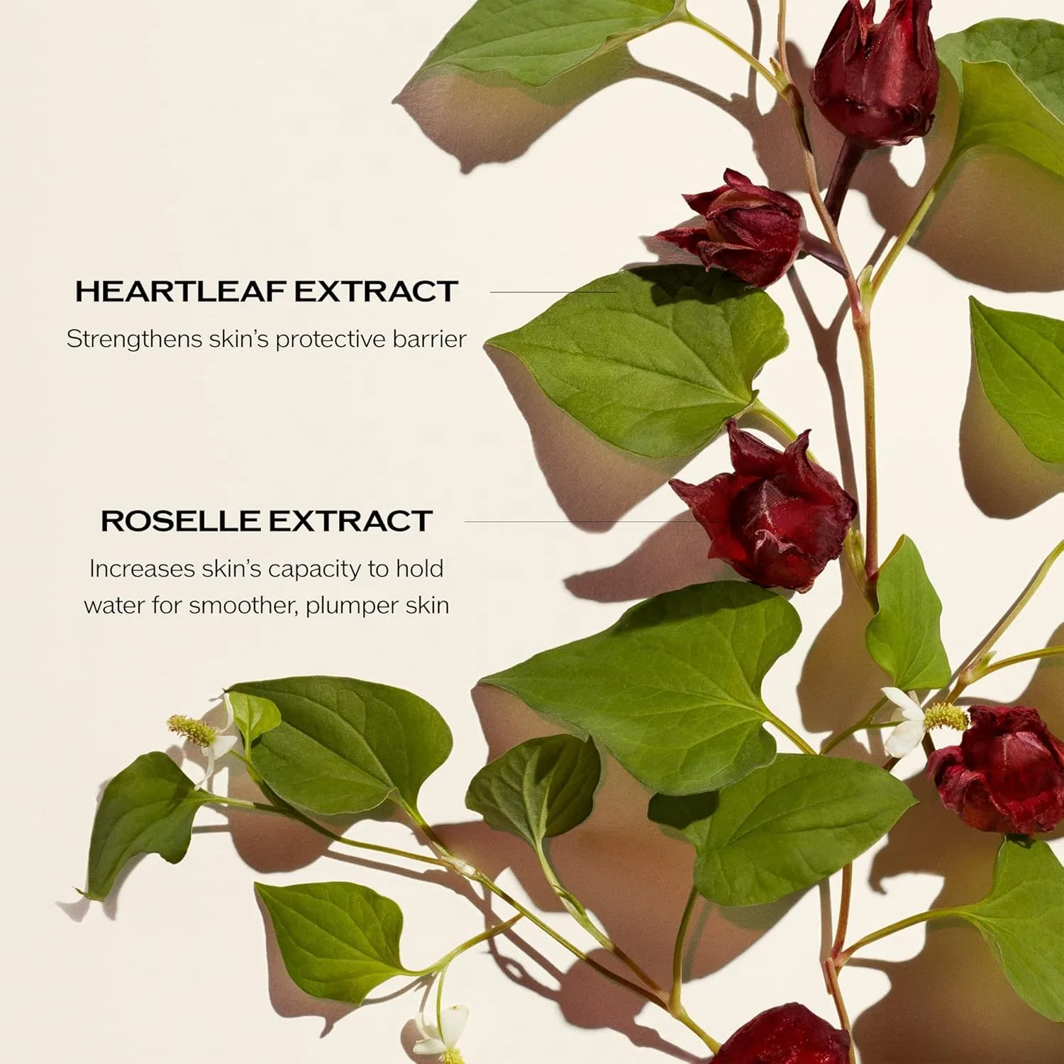 Сыворотка Shiseido — Концентрат «Ultimune Power Infusing Concentrate» от, 30 мл — фото 3