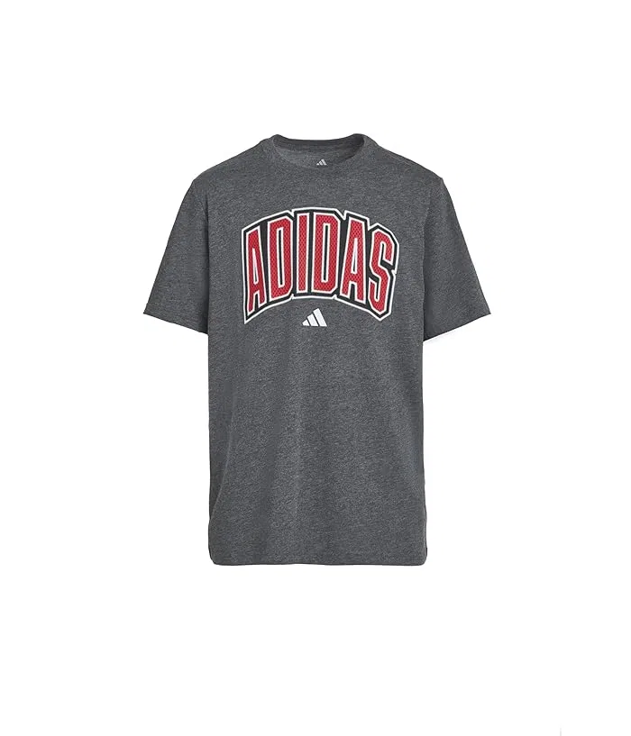 Футболка Collegiate Arch Heather Tee Adidas Kids, Dark Grey Heather