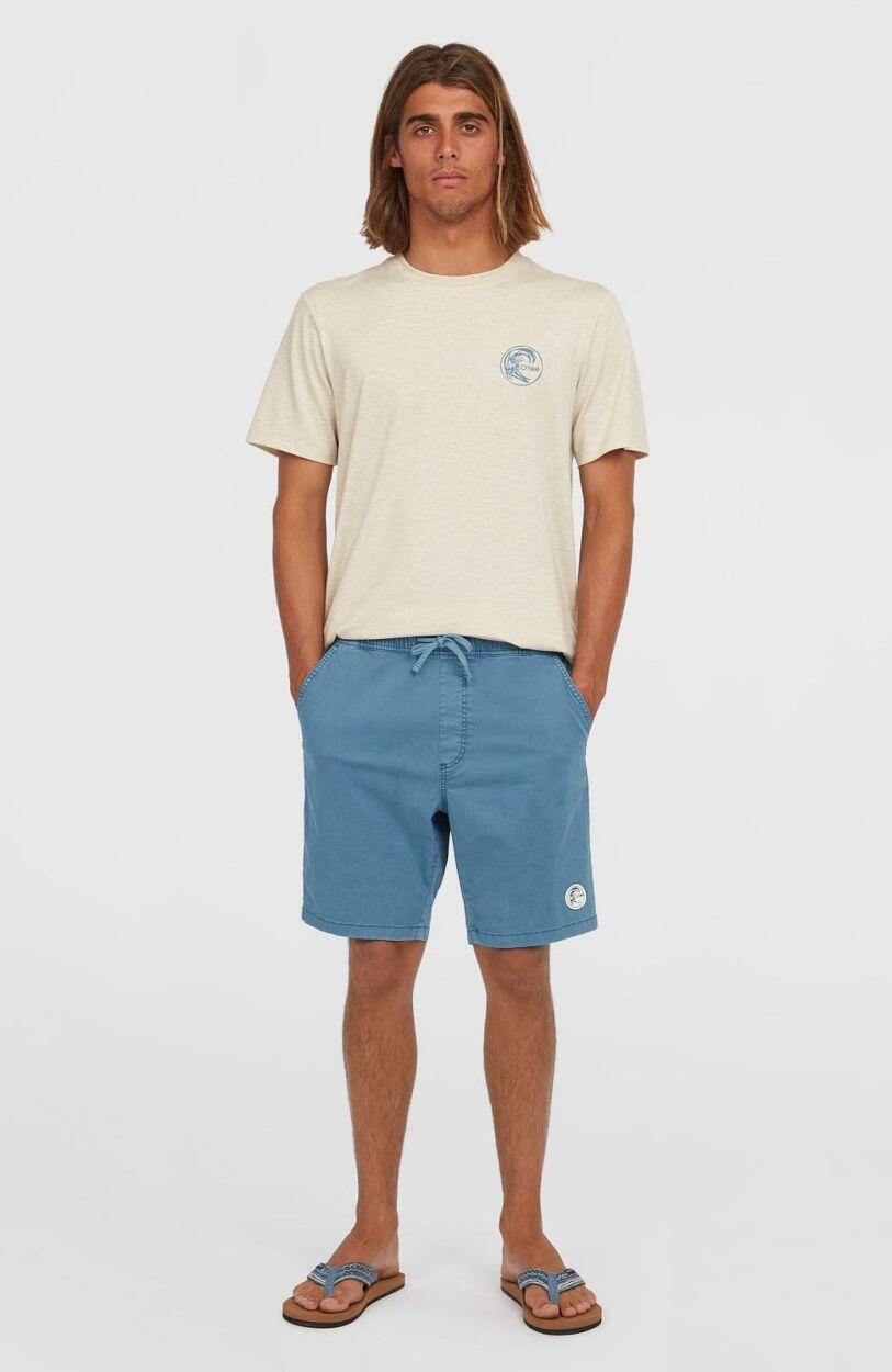 

O'NEILL Шорты мужские O'Riginals Walk