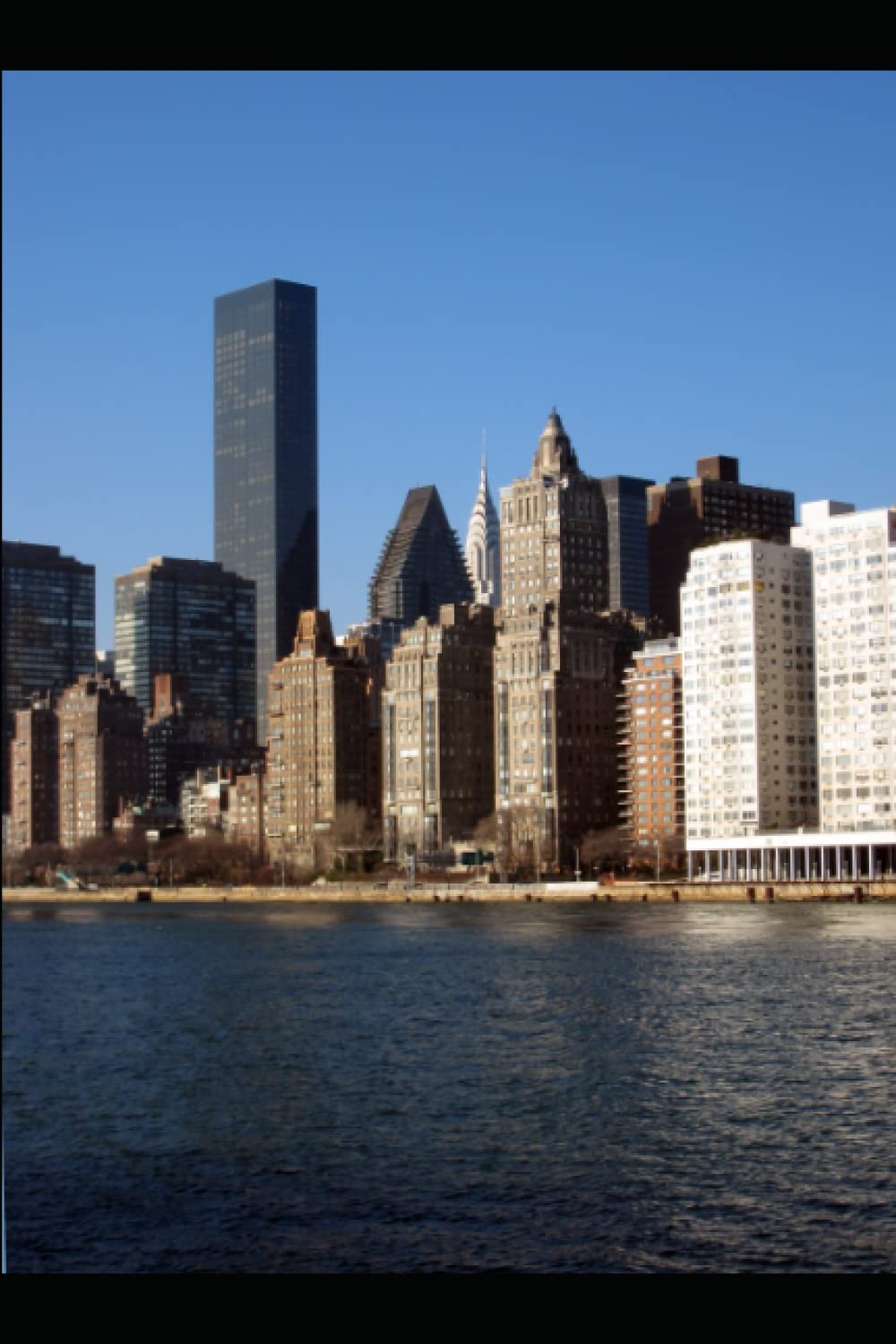 

Daily Journal/Gratitude (Independently published)