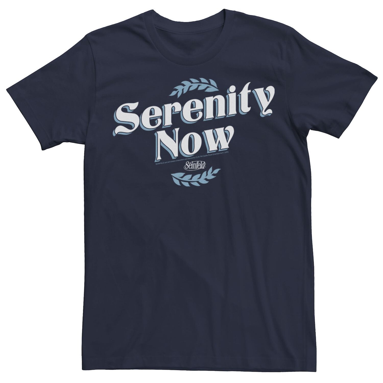 

Мужская футболка Seinfeld Serenity Now со стилизованной надписью Licensed Character