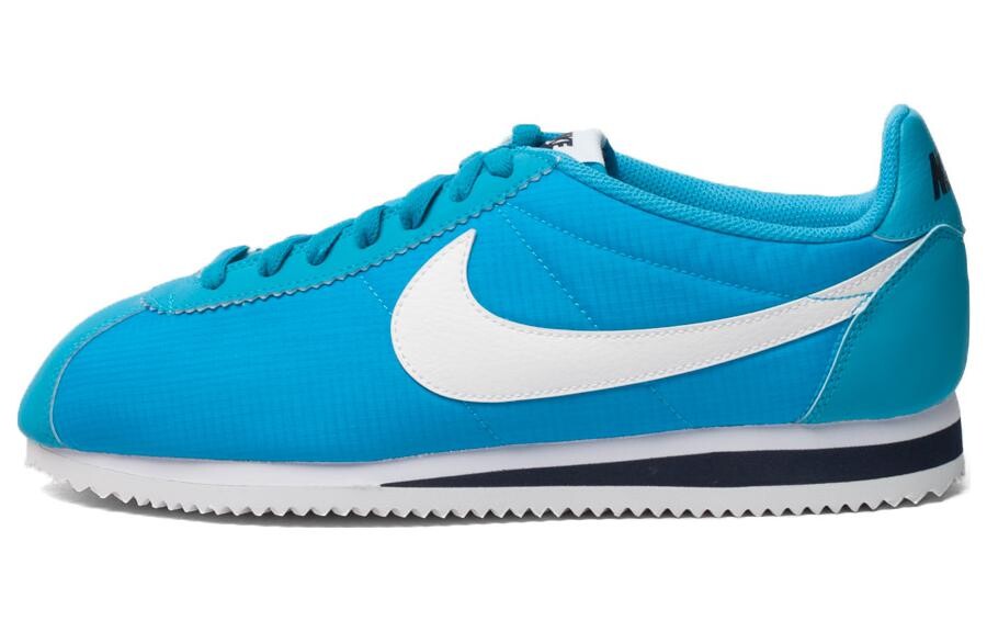 

Nike Кроссовки Мужчины, Blue/White