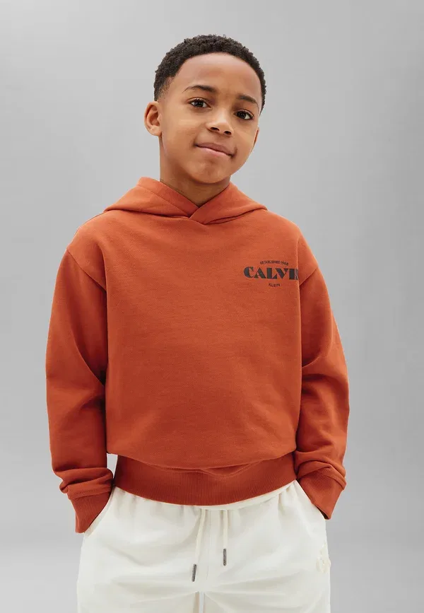 Толстовка с логотипом Calvin Klein Jeans, оранжевый баллон — фото 4