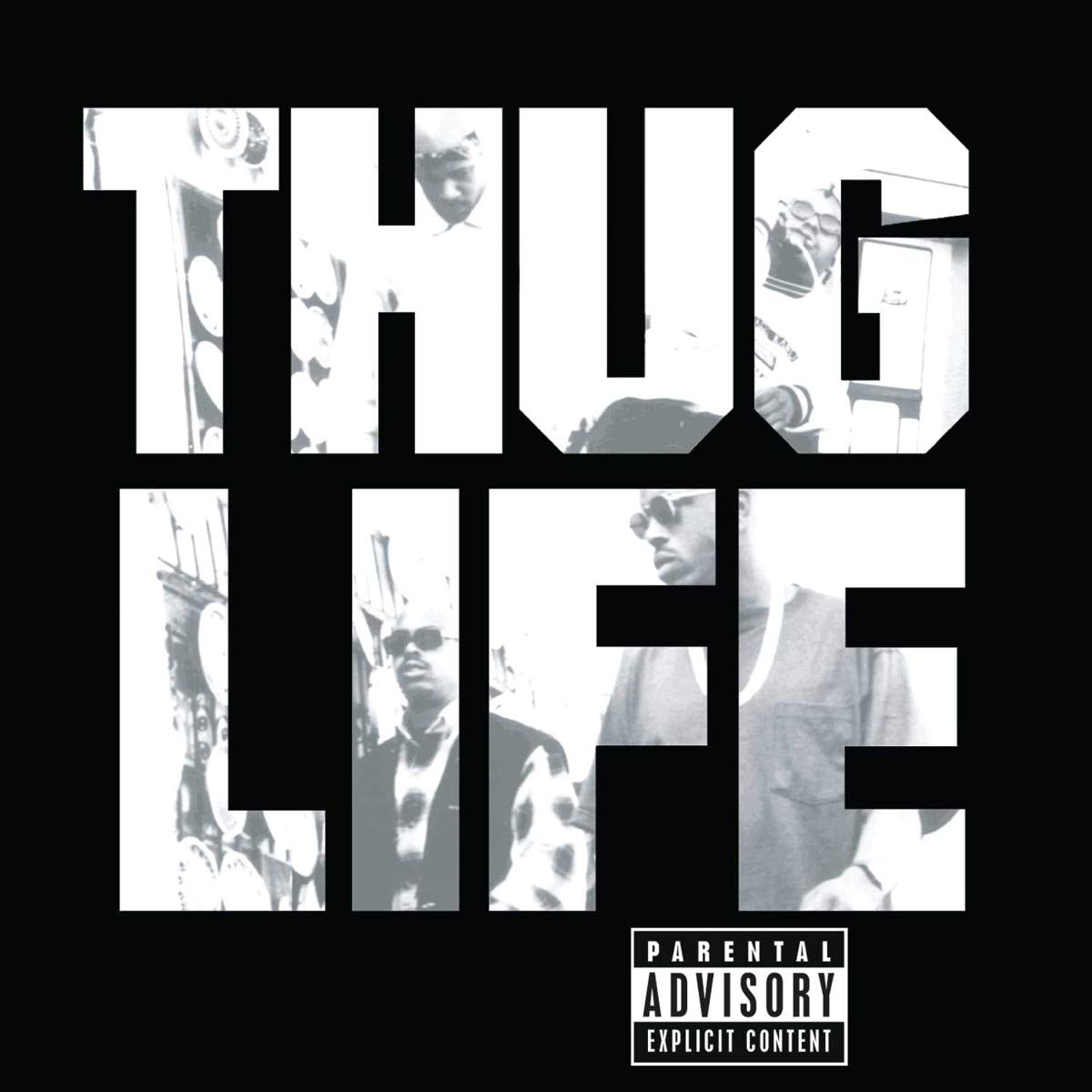 

Виниловая пластинка Thug Life - Thug Life