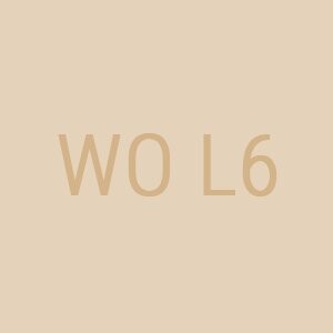 

Минеральная основа 1мл MF Satin Cover Warm Olive WO L6, Zanature