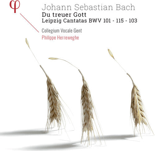 

CD диск Bach, J.S. / Herreweghe: Du Treuer Gott / Leipzig Cantatas