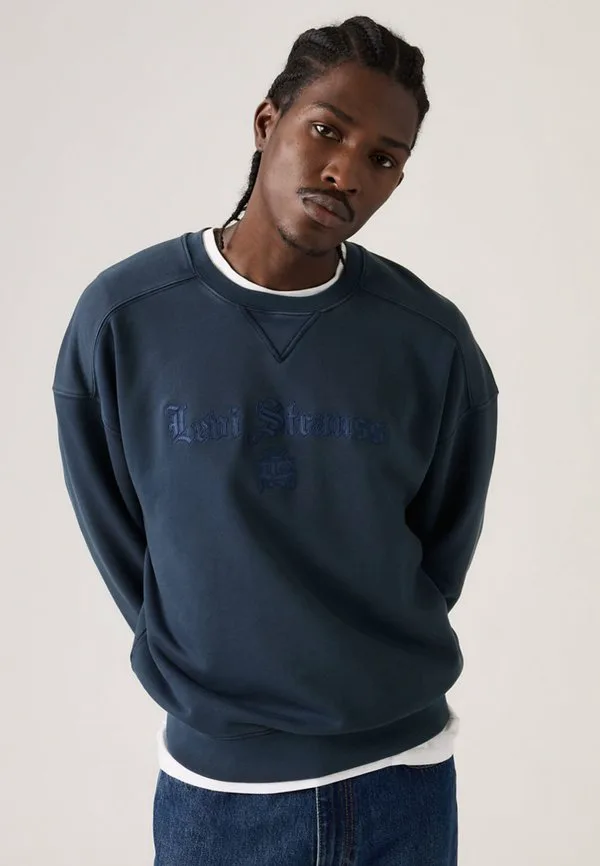 

Свободная толстовка с графическим принтом Levi'S, Blue, Синий, Свободная толстовка с графическим принтом Levi'S, Blue