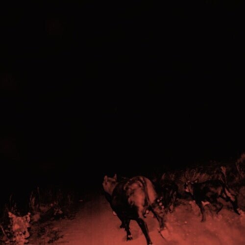 

Виниловая пластинка Bambara - Shadow On Everything
