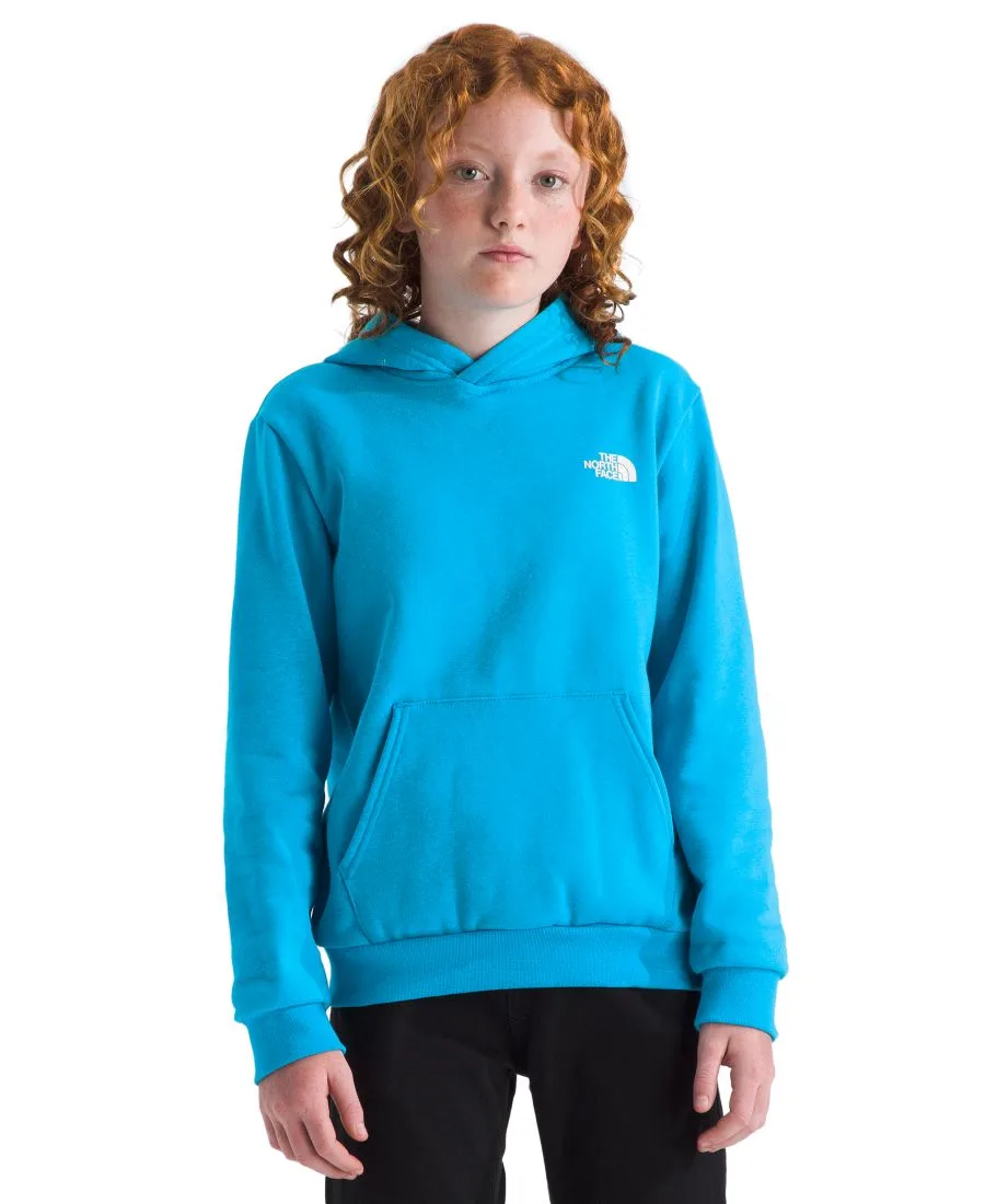 Толстовка Evolution Box Pull-On для мальчиков и девочек 7-20 лет The North Face, meridian синий — фото 3