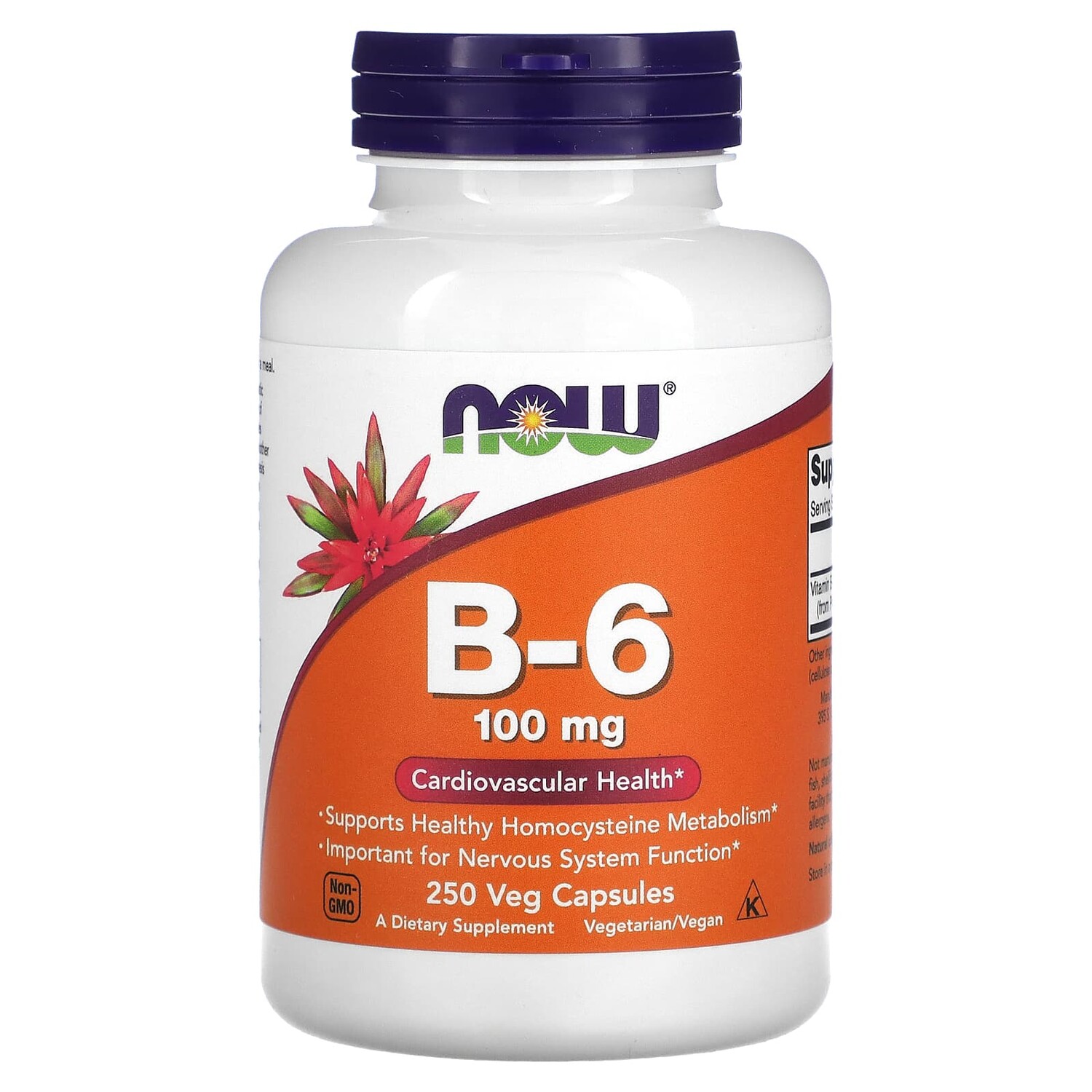 

Now Foods B-6 100 мг 250 капсул